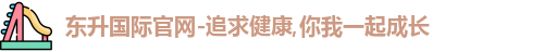 东升国际官网
